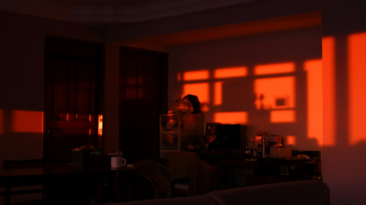 Warm evening light glowing through a window onto a table lamp